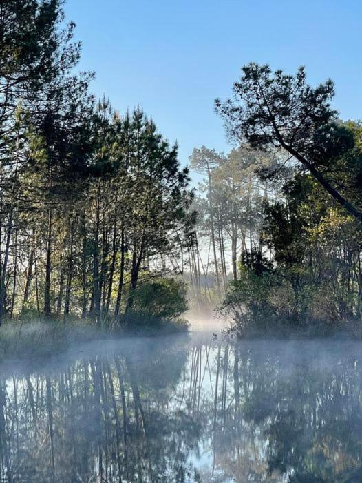 Les Fougeres A81 Les Villages Sous Les Pins Leon 40550 المظهر الخارجي الصورة